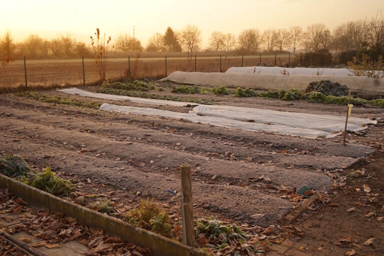 Mehr über den Artikel erfahren November 2018