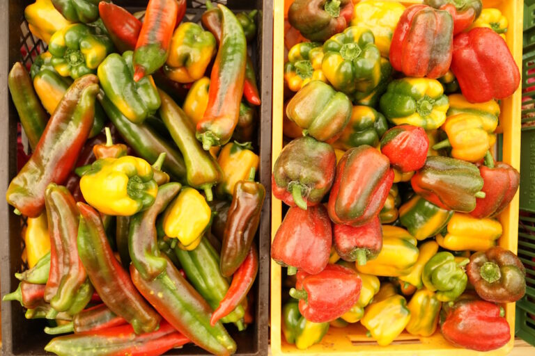 Mehr über den Artikel erfahren Juli 2019