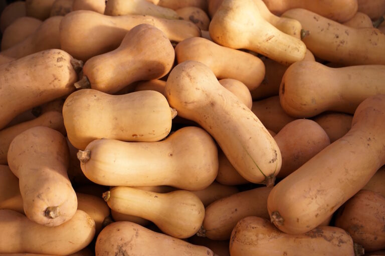 Mehr über den Artikel erfahren Oktober 2019