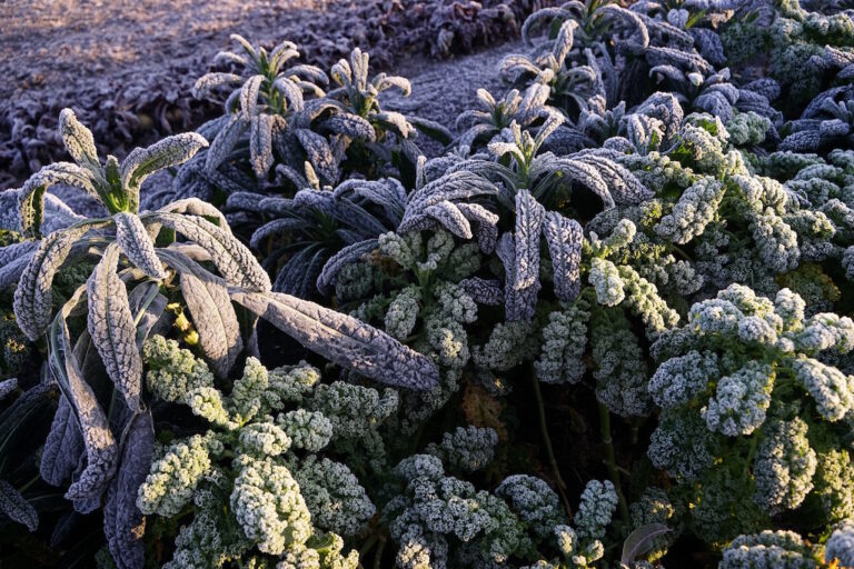 Mehr über den Artikel erfahren Winter 2019/20