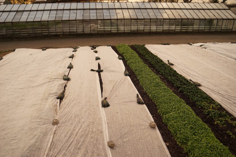 Mehr über den Artikel erfahren Die Gärtnerei im März 2020