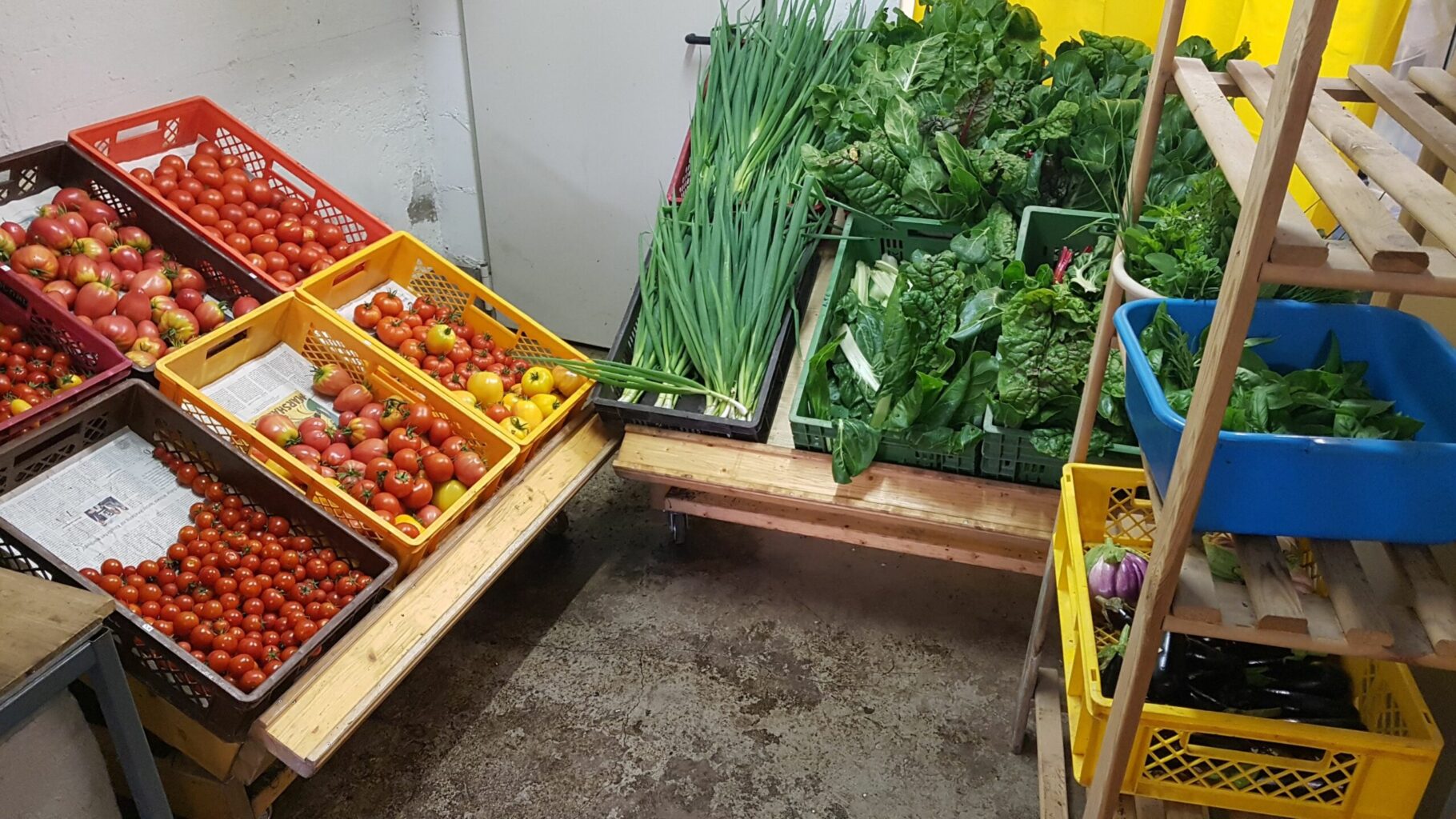 Abholung Gemüse und Tomaten