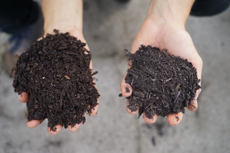 Mehr über den Artikel erfahren Die Gärtnerei im September