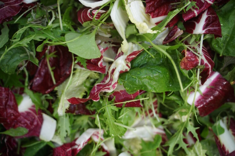 Mehr über den Artikel erfahren Die Gärtnerei im Oktober/November