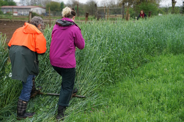 Mehr über den Artikel erfahren Die Gärtnerei im Mai 2021