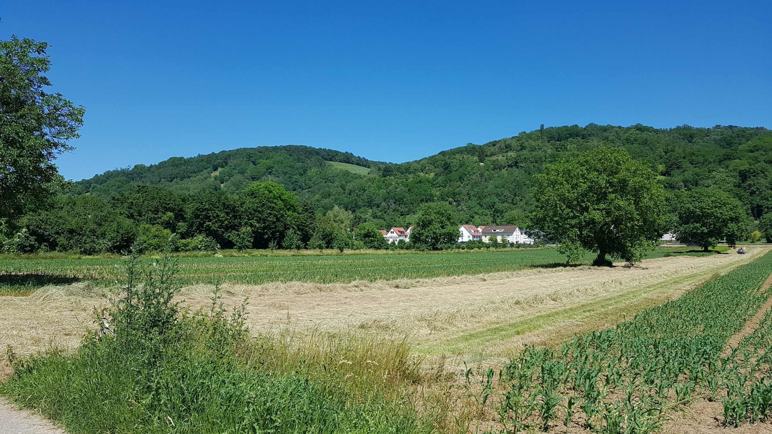 Mehr über den Artikel erfahren Stellungnahme zur aktuellen Regionalplanänderung