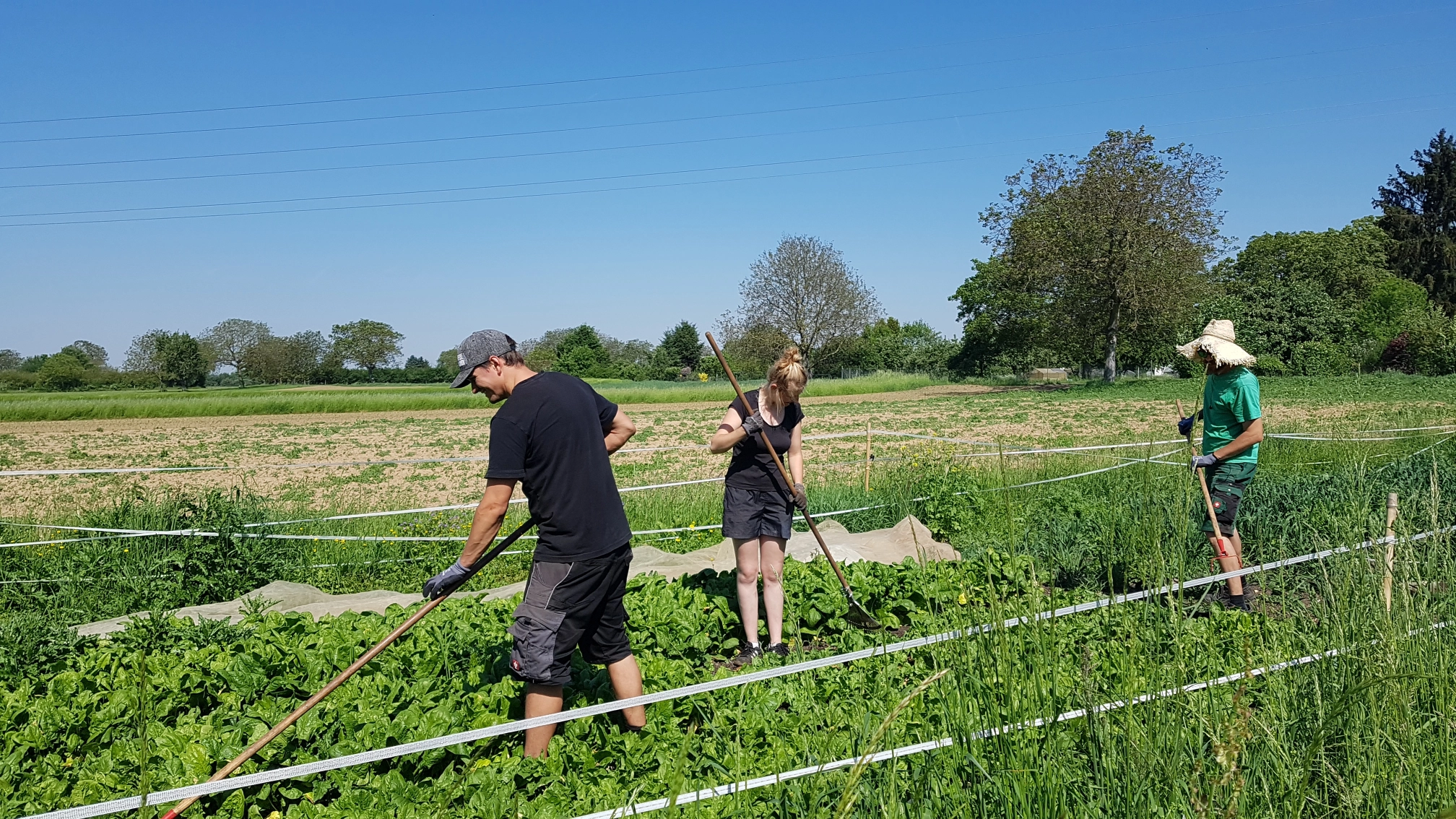 Du betrachtest gerade Neue Gärtner und Bericht von der Mitgliederversammlung