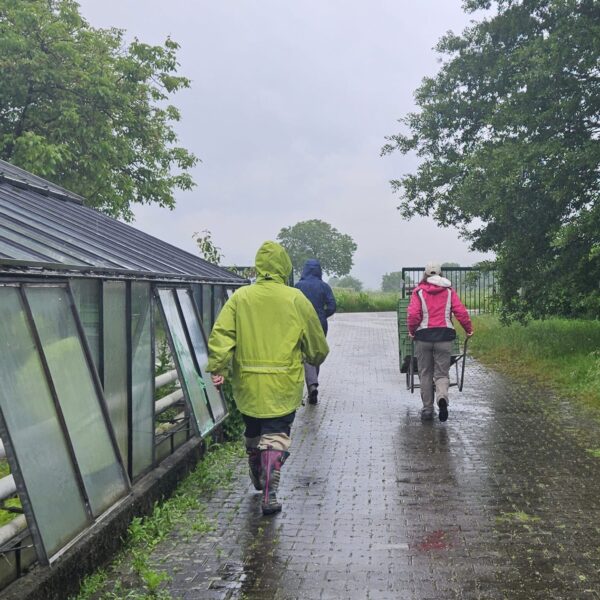 Das Wetter und seine Auswirkungen in unserem Garten