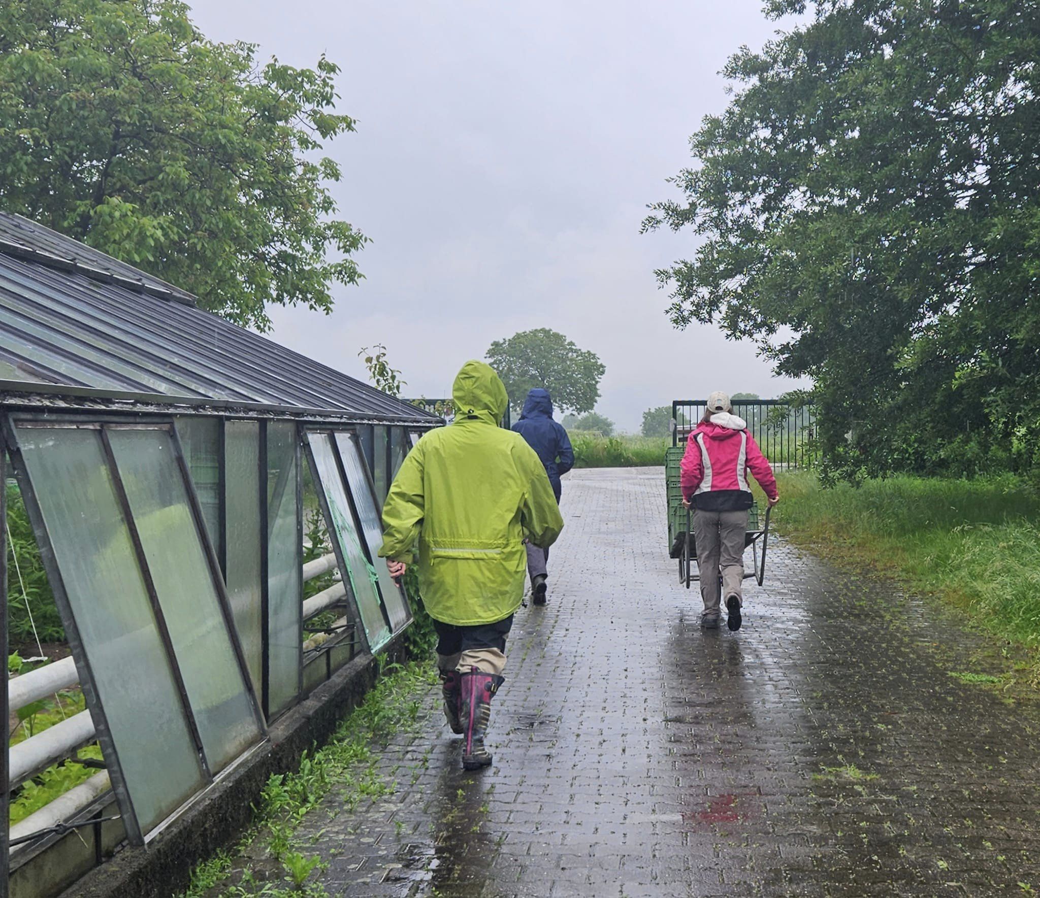 Mehr über den Artikel erfahren Das Wetter und seine Auswirkungen in unserem Garten
