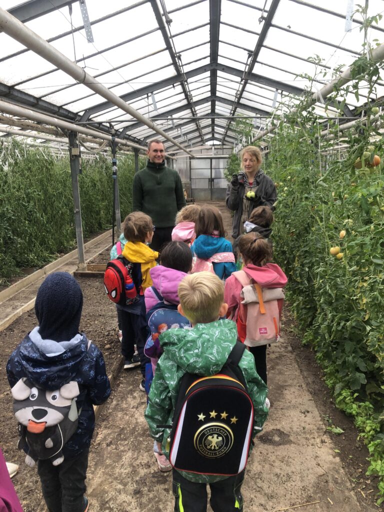 Mehr über den Artikel erfahren Besuch von Vorschulkindern in der Solawi