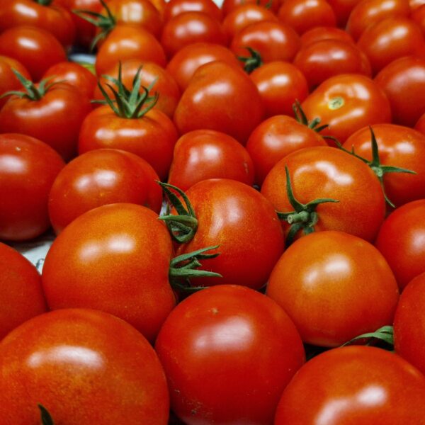 Wie groß ist mein Ernteanteil?