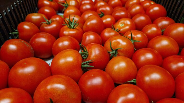 Mehr über den Artikel erfahren Wie groß ist mein Ernteanteil?